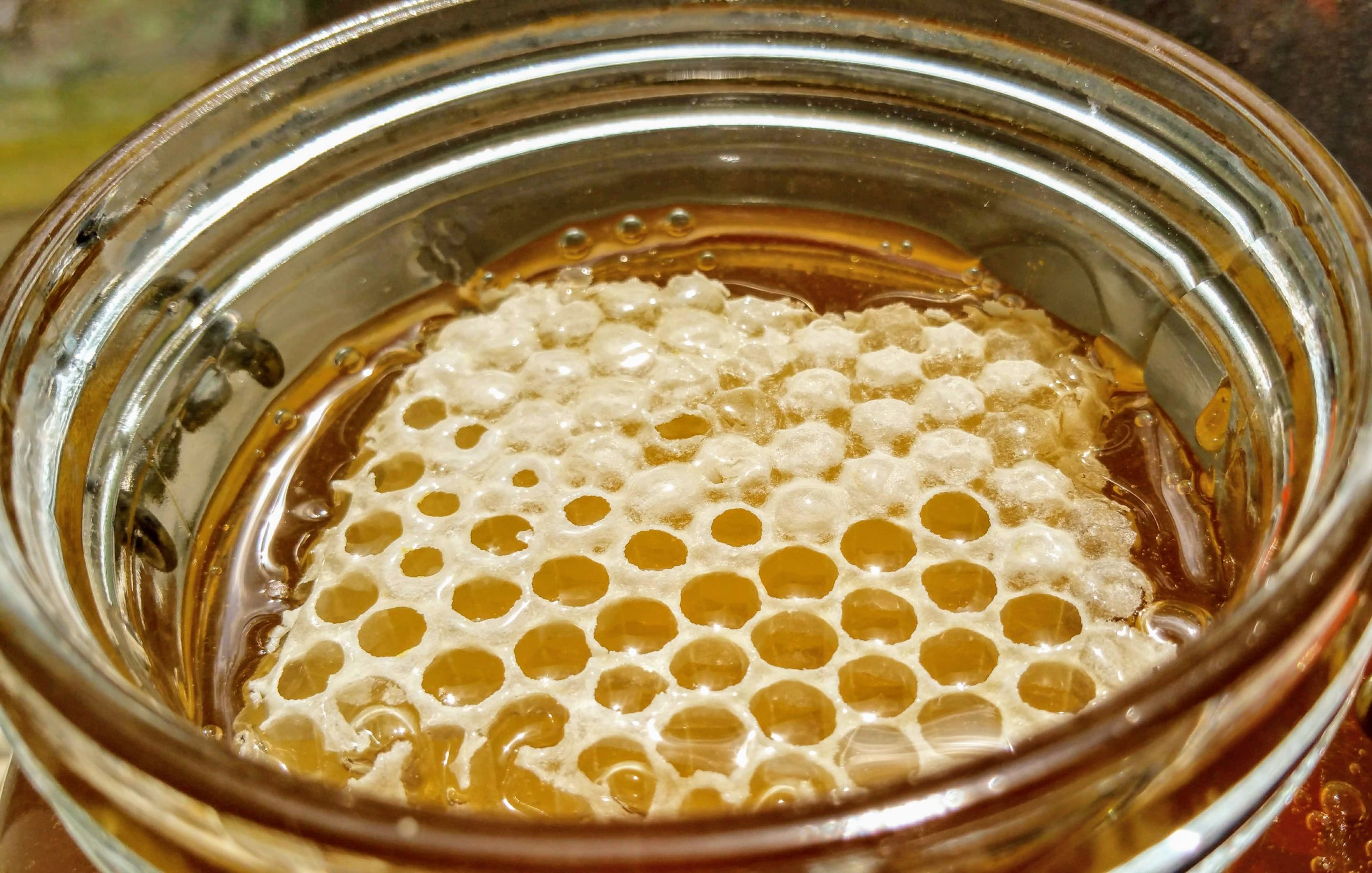 Cosmic Honey gorgeous comb honey honeycomb