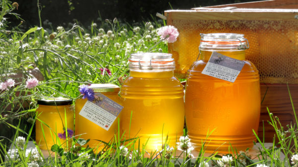 jars of fresh honey in a field of flowers
