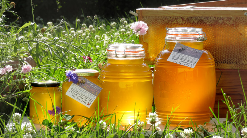 jars of fresh honey in a field of flowers