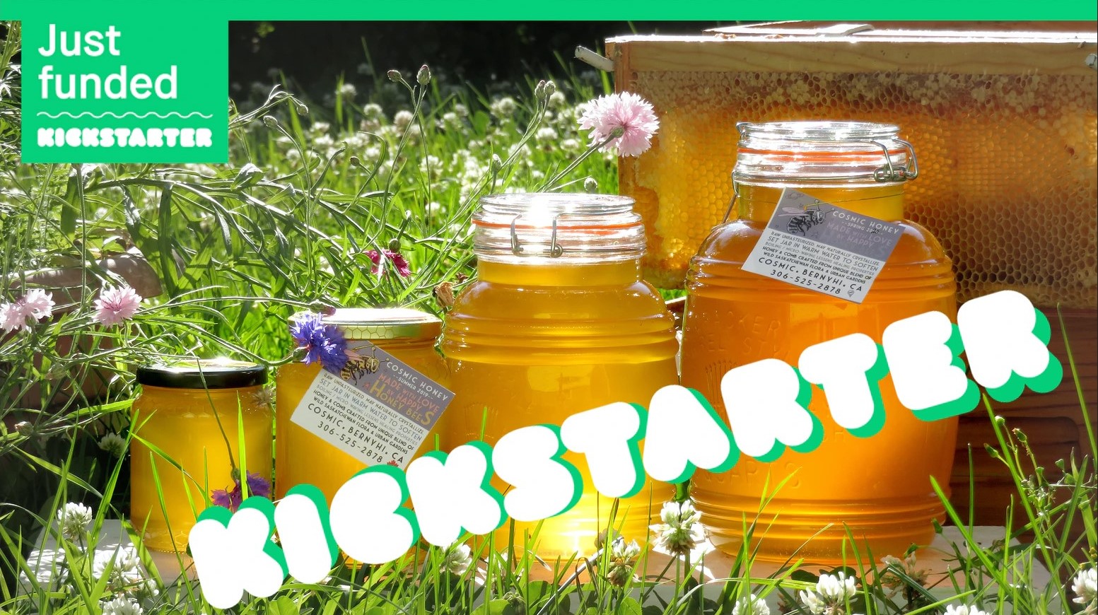 jars of honey with kickstarter logo on top